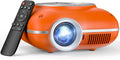 LUMIVISION™ Mini Projector
